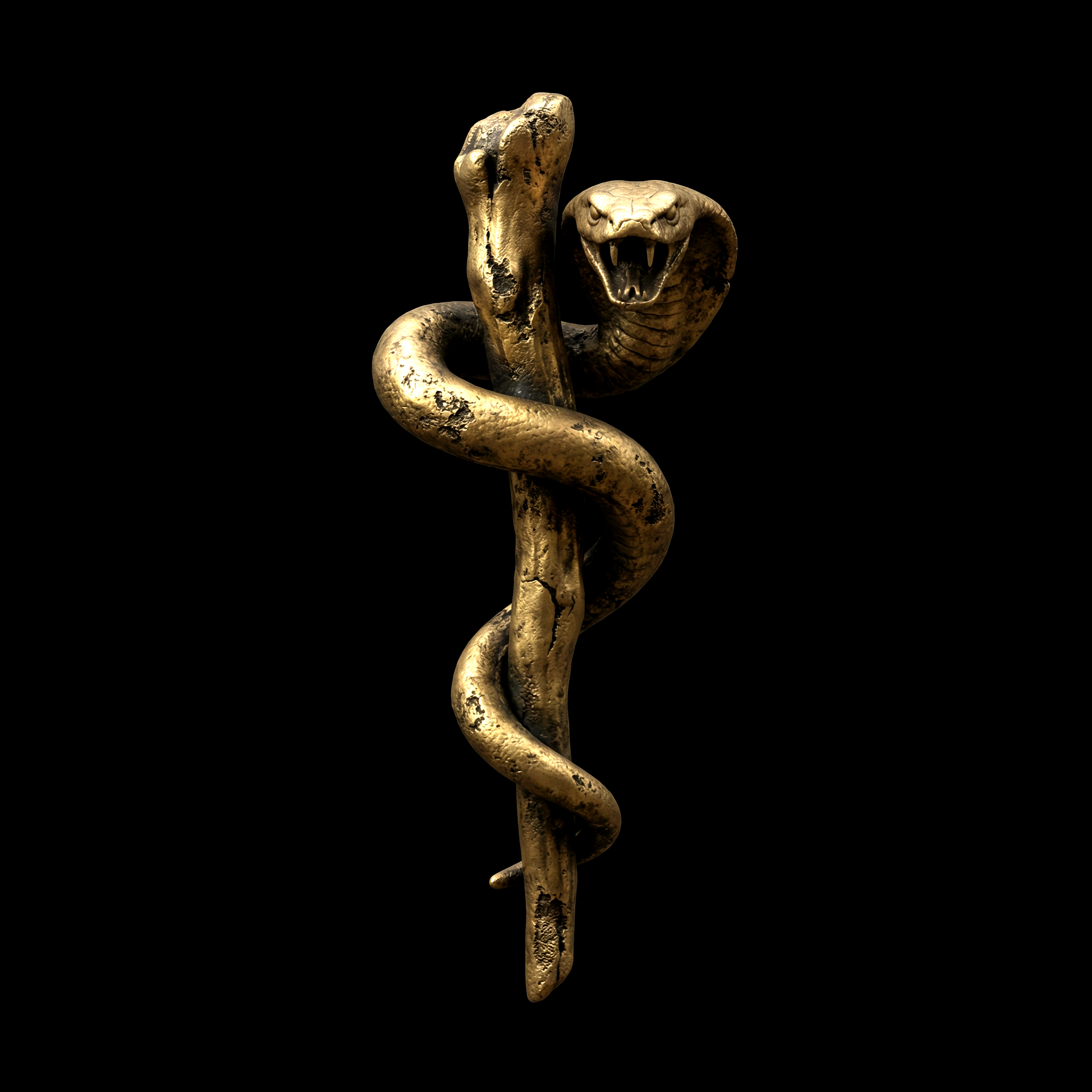 imagestudio_lMD5n_ddiNX1wC6Y0aMIT Health pillar icon